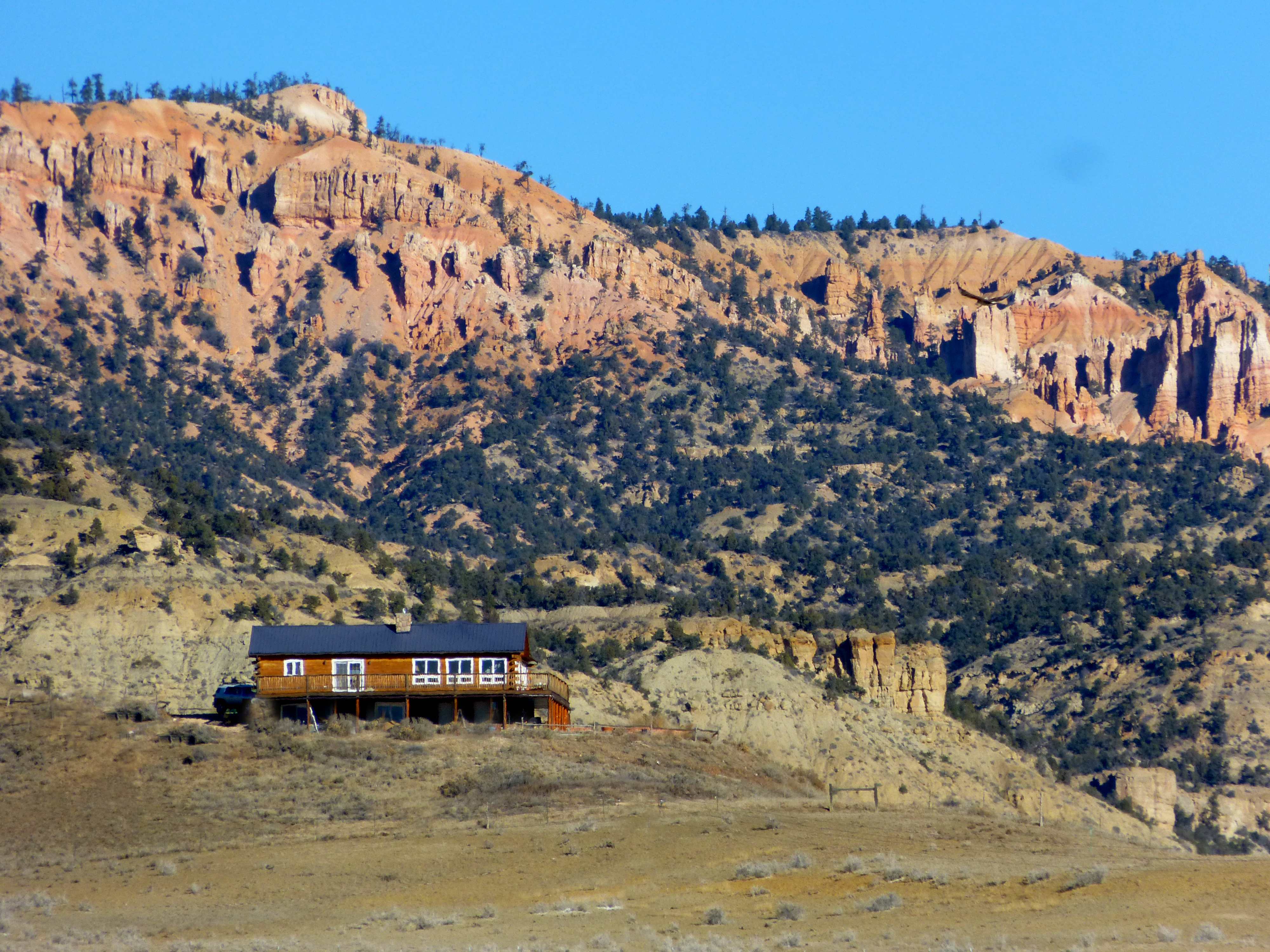 Buffalo Sage against Red Rock Vista