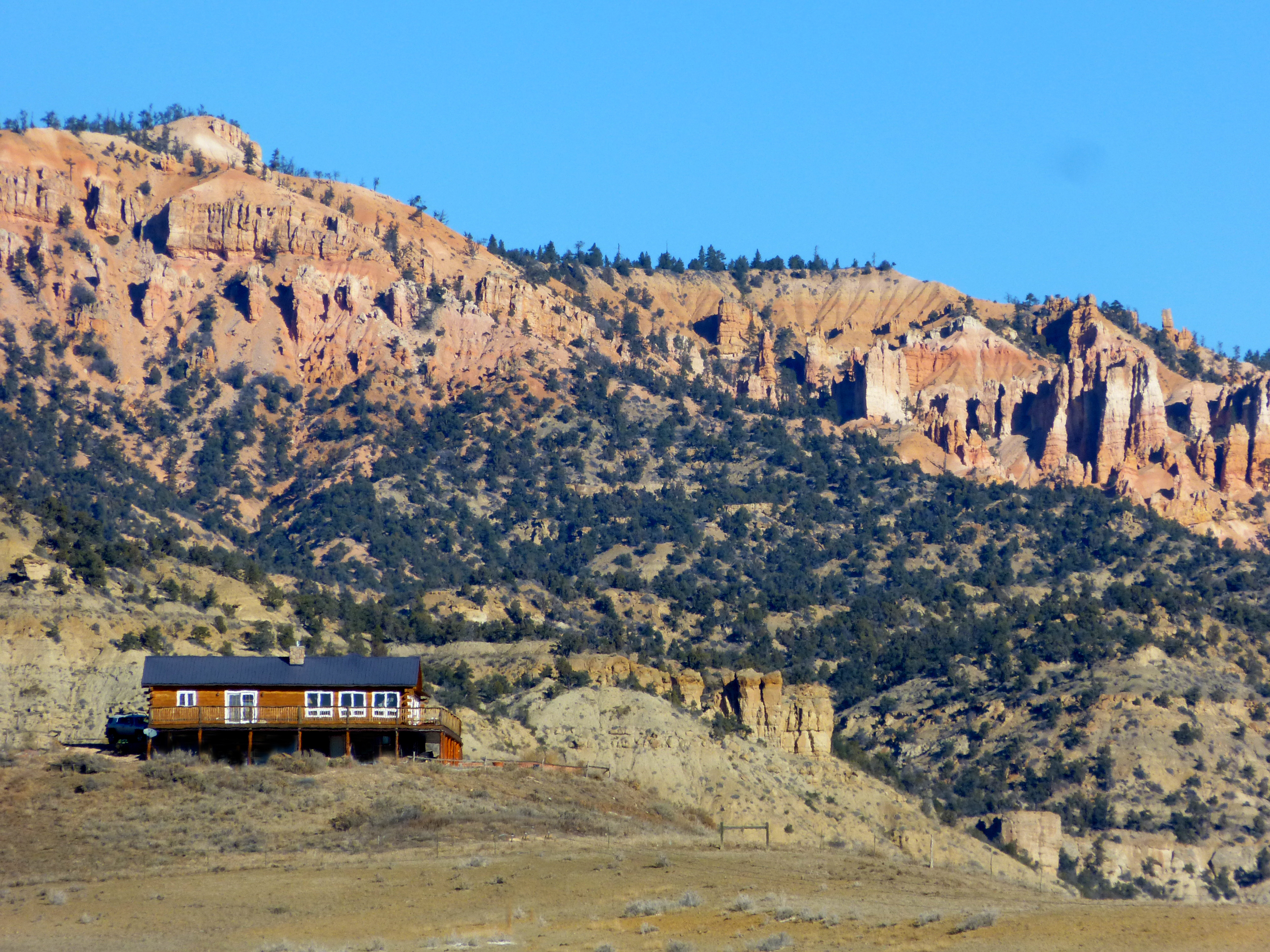 Buffalo Sage against Red Rock Vista